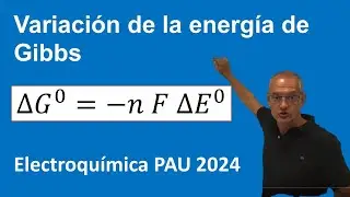 Electroquímica. Cálculo de la energía de Gibbs. PAU 2024