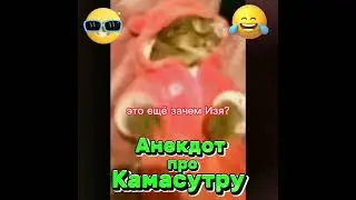 Анекдот про камасутру. 