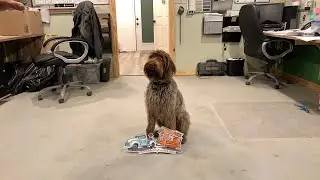 One Tiny Home Fits All