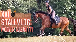 ICH NEHME DICH MIT IN DEN STALL! 🐴
