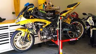 UPDATES ON THE GOLDEN R6!