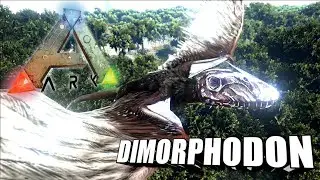 Taming A Dimorphodon | Ark Survival Evolved | The Island