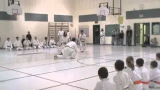 My promotion to 6th dan in koshiki karatedo by hanshi masauki hisataka 9th dan