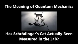 Classical Object Found in Quantum Superposition? Schrodinger's Cat Experiment