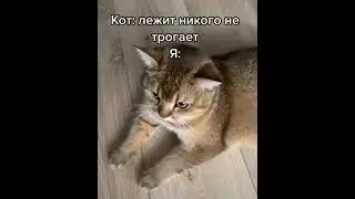 Ахахаахх #юмор #ржака #приколы #угар #смех #тикток #мемы