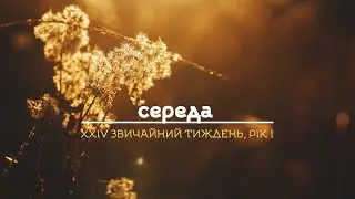 «То ви самі винні!»