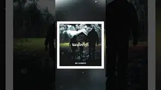 AHIMSA - "im sorry" OUT NOW!