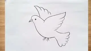 how to draw flying bird drawing easy step by step@DrawingTalent