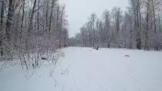 Шепелева Елена мл и ее двойка