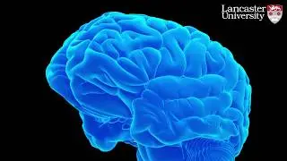 Diabetes drug “significantly reverses memory loss” in mice with Alzheimer’s