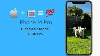 iPhone 14 Pro Cinematic Mode | 4k 30 FPS (DOG FOOTAGE)