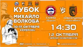 Кубок Михайло Волкова. 