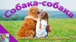 Собака собака, давай с тобой дружить?Смешные дети. Девочка и собака