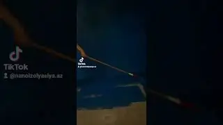 Untitled video