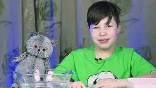 Мячик попрыгун своими руками? Легко и просто! GnatArt и Басик научат и покажут как сделать!