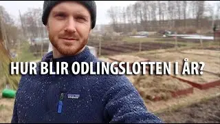 Stora och små odlingsplaner inför 2021! (Och detta har jag pysslat med på lotten än så länge)