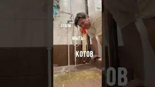 В конце видео сюрприз для вас😂/мой тг канал Зазулькины 