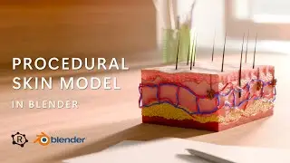 Skin anatomy illustrations in Blender