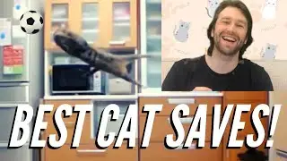 YouTube Goalkeeper Reacts to the Best Saves by CATS! - Best Cat Saves - Cat Goalkeeper