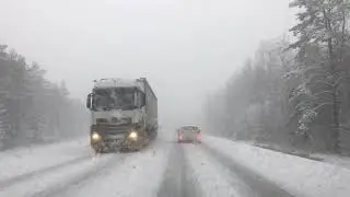 26 февраля 2020 года. Первый снег зимы.