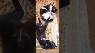 на память мне❤️❤️❤️