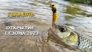 Голавль: открытие сезона 2023