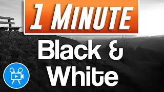 How to Make Video Black and White | Movavi Video Editor Plus