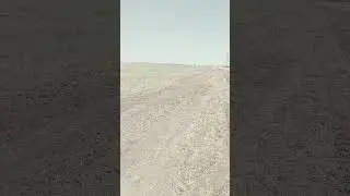 17 августа 2024 г.