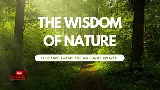 What The Natural World Can Teach Us About Life | Infinite Wisdom Hub