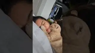 Поцелуи от Руни)