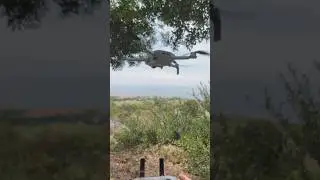 😎Insane Take Off-No Obstacle Avoidance!🔥
