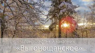 Поход по ландшафтному заказнику "Выгонощанское"