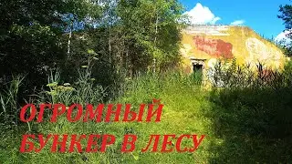 ОГРОМНЫЙ БУНКЕР В ЛЕСУ.