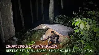 Solo Camping Di Wilayah Kekuasaan Babi Hutan Pake Nesting Set Baru Menikmati Bakso & Singkong Rebus