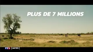 🐼 Succès d'audience pour la série Panda