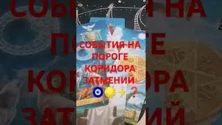 #таро