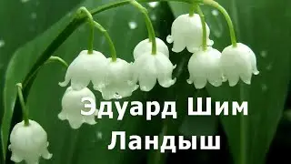🌼 Познавательная сказка «Ландыш»
