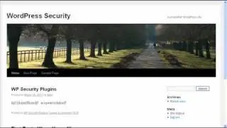 How to Install a WordPress Theme