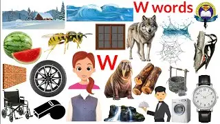 W Letter Words | Vocabulary Words With W | English Vocabular | Water | Watch | Watermelon | Wheel