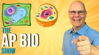 Cell Structure and Function Made Simple for AP Bio