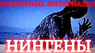 НИНГЕНЫ | КТО ЭТО? [Секретные материалы]