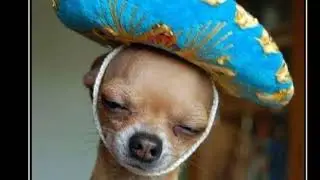 ОБРАЩЕНИЕ К ПОДПИСЧИКАМ