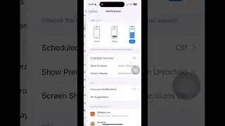 How to disable notifications while sharing your screen? iPhone tips.