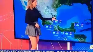 Monica Grey Short Mini Skirt