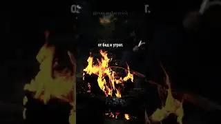 "Твой путь был далёк" (Максим Макаревич) #viral #стихи #любовь