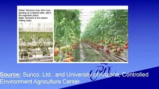 Nutrient measurement technique used in Hydroponics agriculture system