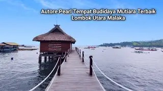 Autore Pearl Tempat Budidaya Mutiara Terbaik Di Lombok Utara