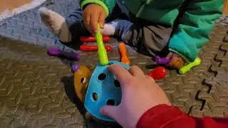 Hedgehog Opp Bag toy from Temu