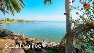 Journey Along the Ancient Shores of the Sea of Galilee: From Tiberias to the Yigal Allon Center.