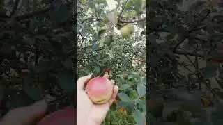 3 сентября 2023 г.